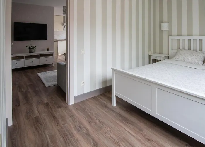 Appartement Cosy Scandi Near The Old Town. Self Check-in Klaipėda